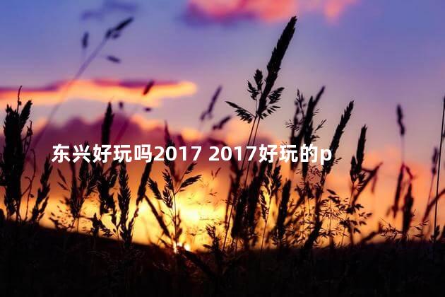 东兴好玩吗2017 2017好玩的pc网游